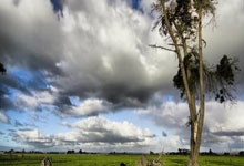 南宫28官网:图多尔:老图拉姆跟我说,凯夫伦犯错了直接喷他就行.