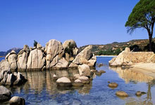 罗马诺:国米将与外租前锋埃斯波西托续约至年,年薪逐增.